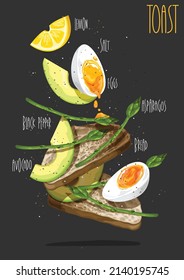 Tosta con aguacate, espárragos, huevos, pan tostado de grano entero. Ilustración del vector