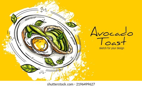 Toast with avocado and egg, basil leaves, plate. Breakfast time. Hand-drawn sketch.