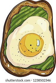 toast with avocado and egg, vector graphics
