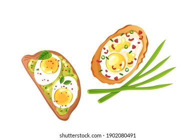 toast with avocado, spinach , chilli, spring onion and fried egg vector illustration isolated on white background