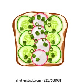 Toast with radishes, cucumbers and soft cheese vector illustration. Cartoon isolated healthy vegetarian sandwich, vegetable slices, chopped green onions and ricotta on rye or whole grain toasted bread