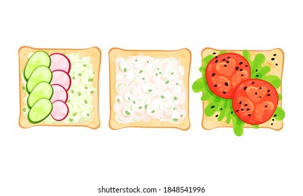 Toasts With Different Ingredients Top View Vector Set