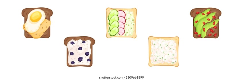 Toasts With Different Ingredients Top View Vector Set