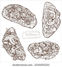Toasts with mushrooms and greenery, different toppings. Healthy breakfast meal. Set of vector illustrations isolated on light background. Hand drawn. Vintage style.