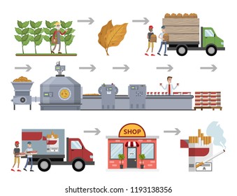 Tobacco for cigarette production. From harvest to automated machinery line on the factory. Product for smoke manufacturing. Cigarette box delivery to the shop. Vector flat illustration