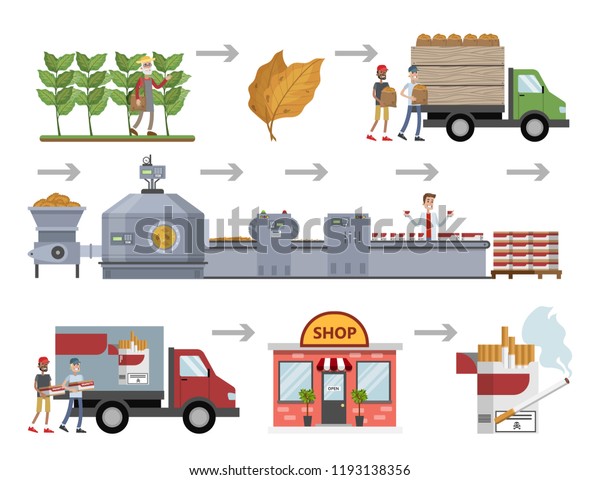 Tobacco Cigarette Production Harvest Automated Machinery Stock Vector ...