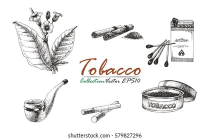 Tobacco collection vintage drawing