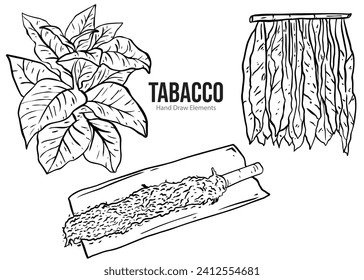 Tobacco hand drawn vector illustration. black and white line art. Set of isolated tobacco. Images of tobacco plants, dried tobacco and cigarettes.