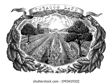 Tobacco land hand draw vintage engraving style black and white clip art isolated on white background