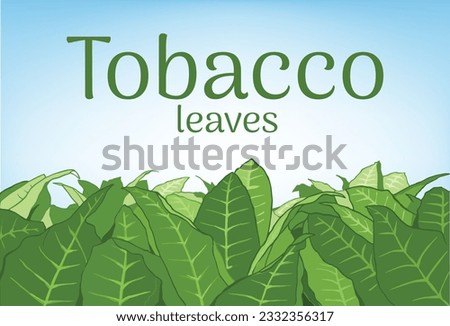 Tobacco leaf banner background vector eps 10