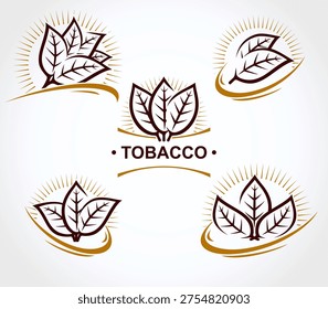 Tobacco leaf label and icon set. Collection icons tobacco. Vector 