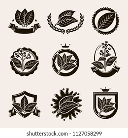 Tobacco Leaf Label And Icons Set. Vector