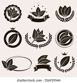 Tobacco Leaf Label And Icons Set. Vector