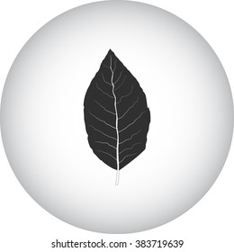 Tobacco Leaf Simple Icon  On Round Background