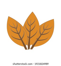 tobacco leaf vector logo ecology nature element vector icon