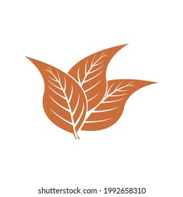 tobacco leaf vector logo ecology nature element. tobacco icon doodle. cigarette.