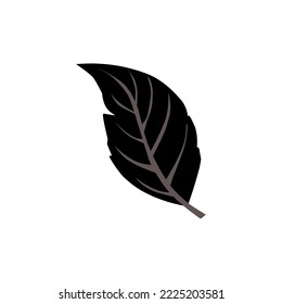 tobacco leaf vector logo ecology nature element vector icon