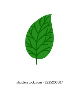 logotipo de la hoja de tabaco ecología elemento vectorial icono