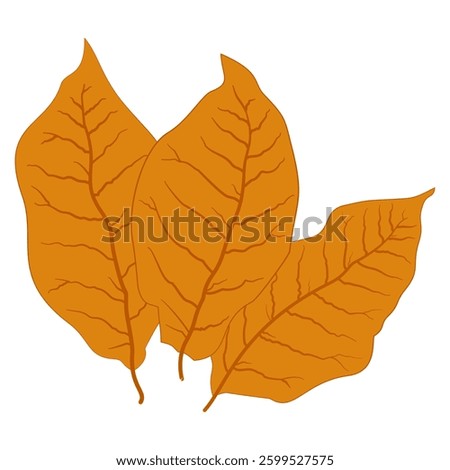 tobacco leaf vector logo ecology nature element vector icon