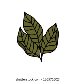 tobacco leaves doodle icon, vector illustration