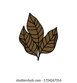 tobacco leaves doodle icon, vector illustration