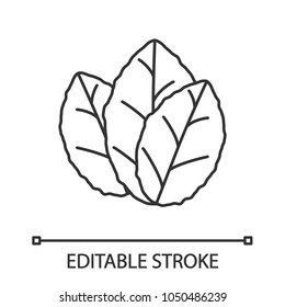 Tobacco Leaves Linear Icon. Thin Line Illustration. Mint. Contour Symbol. Vector Isolated Outline Drawing. Editable Stroke