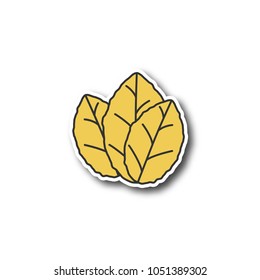 Tobacco leaves patch. Mint. Color sticker. Vector isolated illustration
