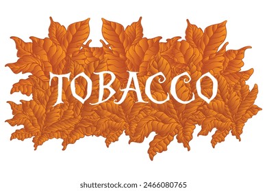 Tobacco Leaves Pattern Background Vector