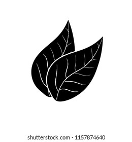 tobacco leaves vector icon