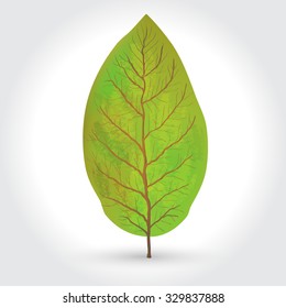 tobacco leaves vector illustration