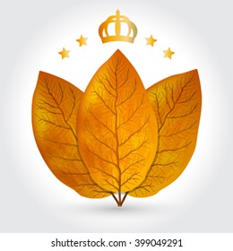 Tobacco Leaves Vector Illustration