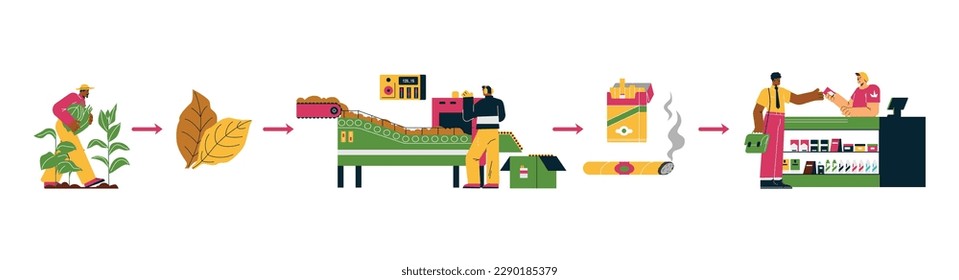 Tobacco products manufacturing process, flat vector illustration isolated on white background. Farmer harvesting tobacco plants, man packing products on conveyor, person buying cigarettes in shop.