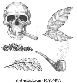 
Tobacco set sketch: tobacco pipe with smoke and leaves, chopped tobacco for a tpipe and a cigarette, a cigar.