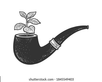 planta de brote de tabaco a partir de un bosquejo de tubería de humos grabando ilustración vectorial. Diseño de impresión de ropa de camiseta. Imitación de tablero de raquetas. Imagen dibujada a mano en blanco y negro.