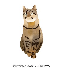 Toby cat cute cat pet