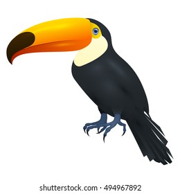 Toco Toucan bird, Isolated On White Background, Vector Illustration, toco toucan sitting pose tropical bird, 