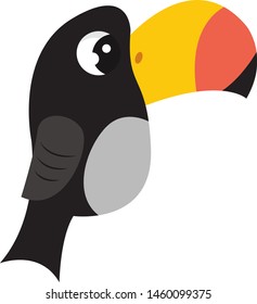 Toco toucan, illustration, vector on white background.