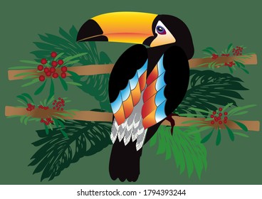 The toco toucan, the largest and best-known toucan species, is at home in South America's tropical forests, colourfull bird vector illustration