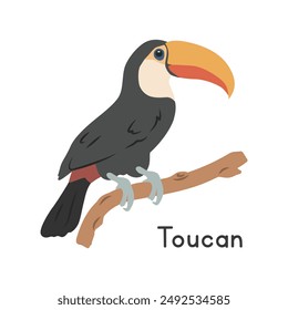 Ilustración vectorial de un toco tucán posado en la rama del árbol de dibujos animados personaje Clipart, animal en estilo plano. Animales salvajes, aves, concepto de aves. Diseño de Vector tucán aislado sobre fondo blanco