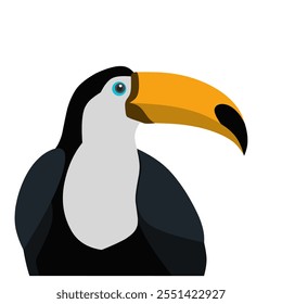 Toco Toucan, Ramphastos toco is the biggest species of its kind. It's also the well known toucan species. Flat vector illustration.