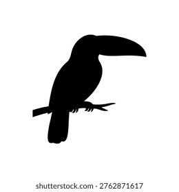 Toco toucan silhouette vector flat illustration design.