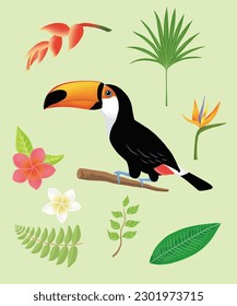 Toco toucan and tropical plant illustration