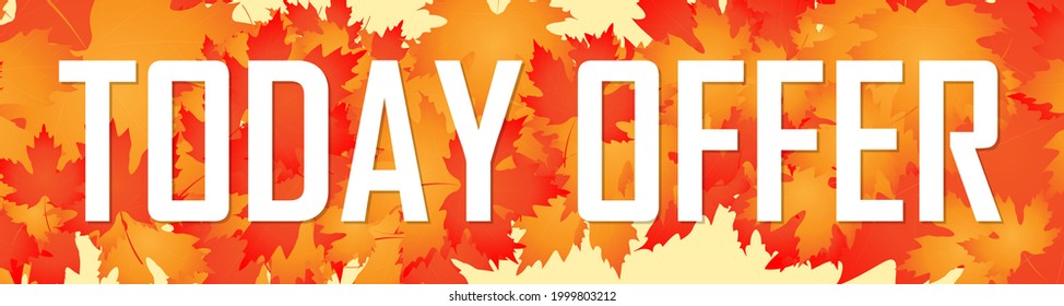 Today Offer, sale web banner design template, Autumn discount horizontal poster, vector illustration