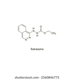 Todralazine flat skeletal molecular structure vasodilator drug used in hypertension treatment. Vector illustration scientific diagram.