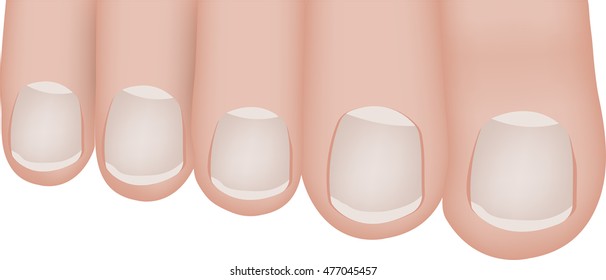 Toes Illustration