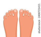 Toes with nails. Closeup toes on a white background. Healthy feet concept. Beautiful female feet with a pedicure. Vector illustration flat design. Isolated on white background.