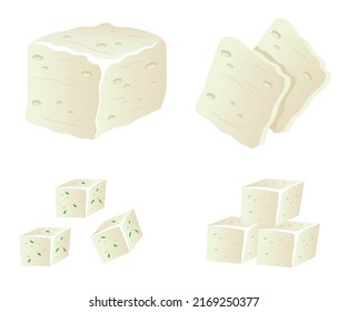 Tofu cheese isolated set. Vector flat graphic design element illustration