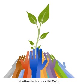 Together hands on a growing plant.