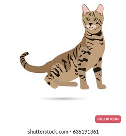 Toiger cat breed color flat icon for web and mobile design