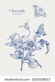 Arte arenosa Clematis flores buquê e borboletas. Modelo vetor vintage, bege azul. Elementos gravados desenhados à mão. Ilustração elegante para cartão de saudação de design, decoração de casamento, convite, presente